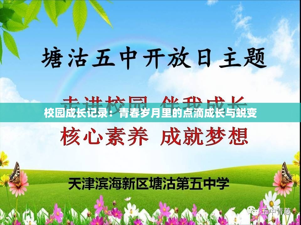 校园成长记录：青春岁月里的点滴成长与蜕变