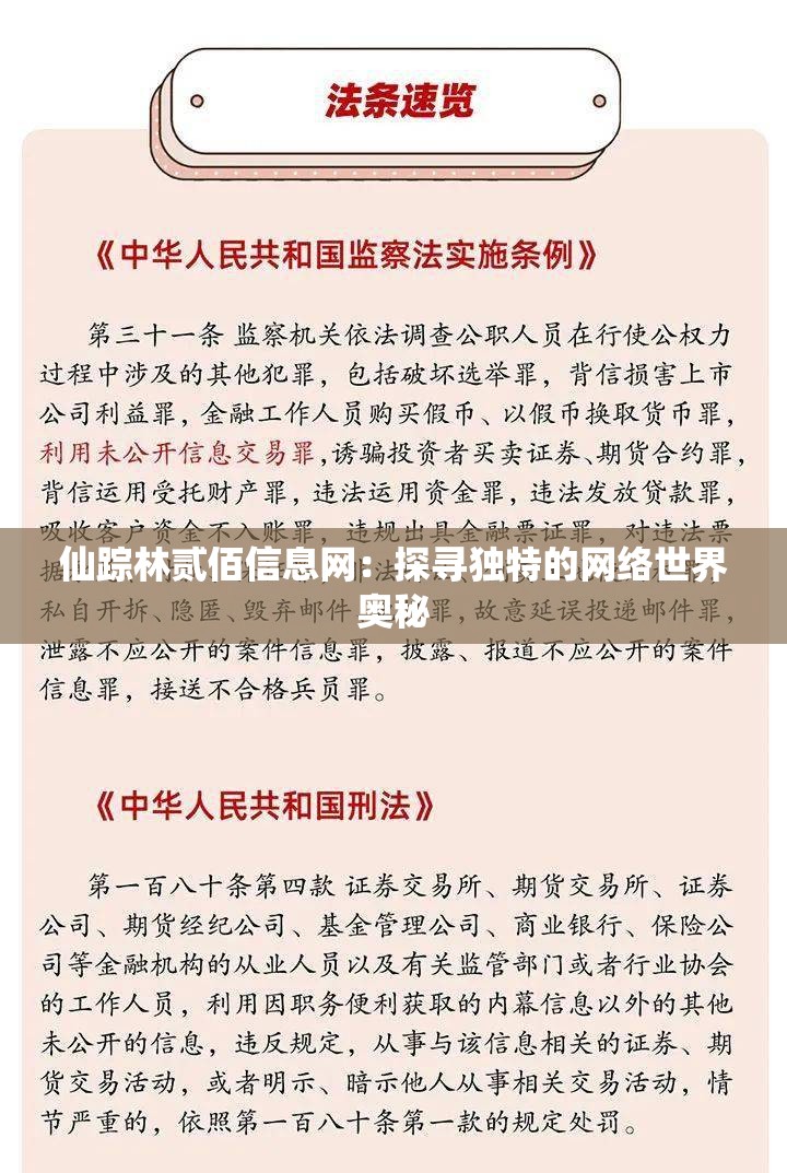 仙踪林贰佰信息网：探寻独特的网络世界奥秘