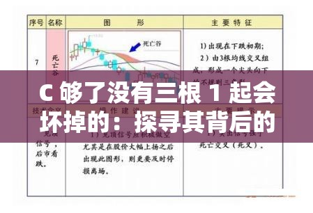 C 够了没有三根 1 起会坏掉的：探寻其背后的深层含义