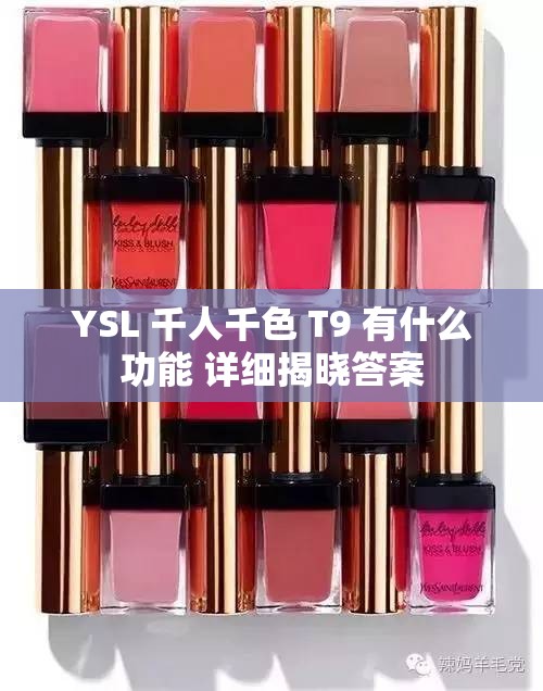 YSL 千人千色 T9 有什么功能 详细揭晓答案