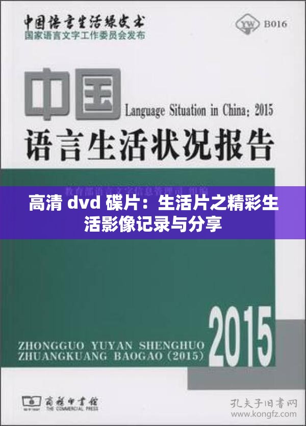 高清 dvd 碟片：生活片之精彩生活影像记录与分享