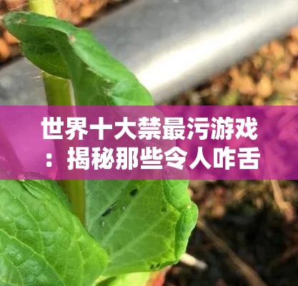 世界十大禁最污游戏：揭秘那些令人咋舌的不良之作