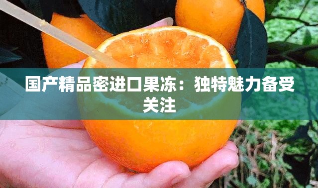 国产精品密进口果冻：独特魅力备受关注