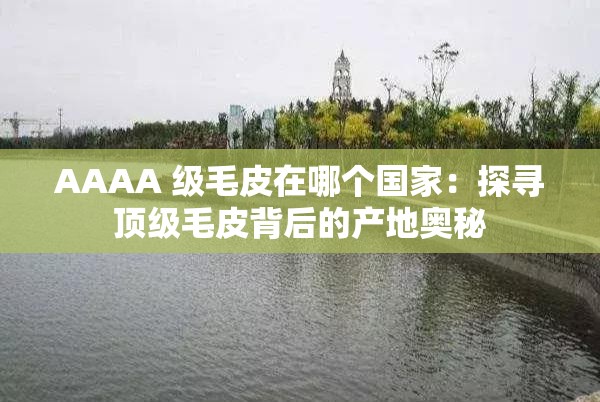 AAAA 级毛皮在哪个国家：探寻顶级毛皮背后的产地奥秘