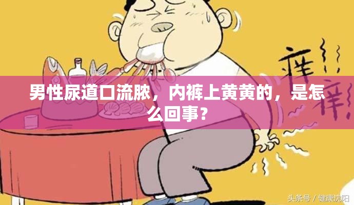 男性尿道口流脓，内裤上黄黄的，是怎么回事？