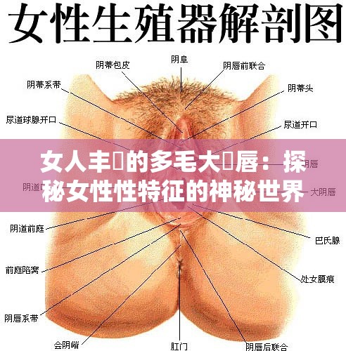 女人丰滿的多毛大陰唇：探秘女性性特征的神秘世界