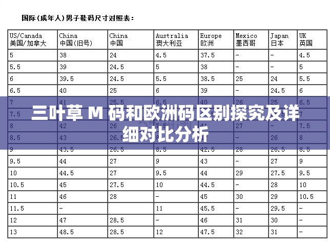 三叶草 M 码和欧洲码区别探究及详细对比分析