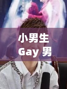 小男生 Gay 男男站 A 片小说：探索别样情感与欲望世界