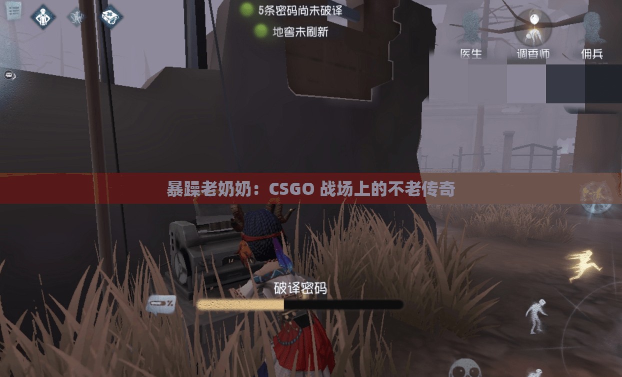 暴躁老奶奶：CSGO 战场上的不老传奇