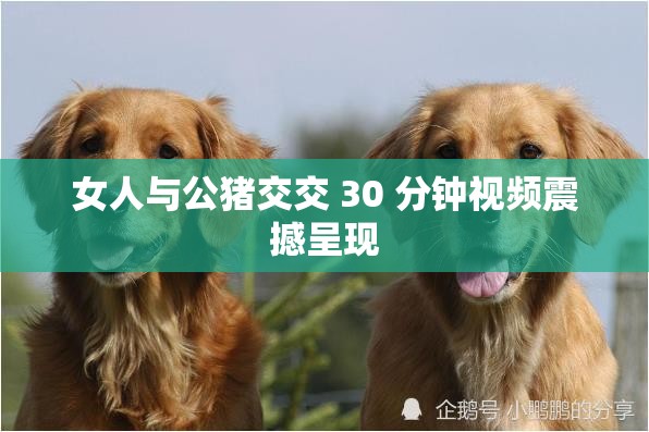 女人与公猪交交 30 分钟视频震撼呈现