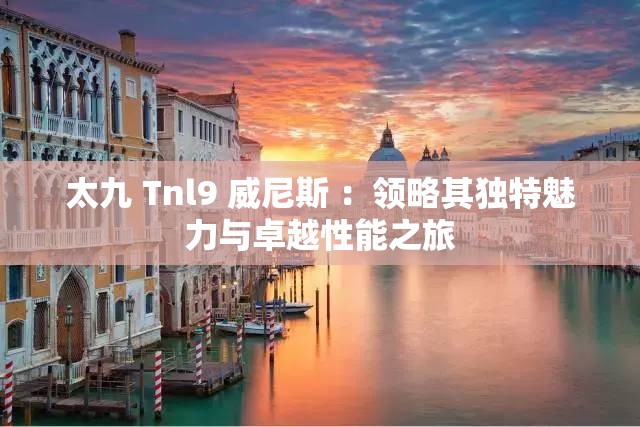 太九 Tnl9 威尼斯 ：领略其独特魅力与卓越性能之旅