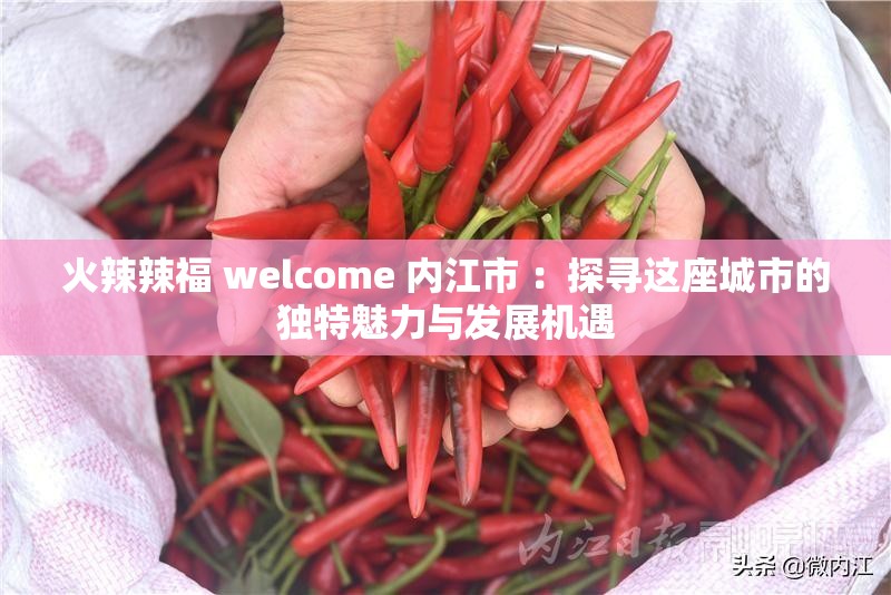 火辣辣福 welcome 内江市 ：探寻这座城市的独特魅力与发展机遇