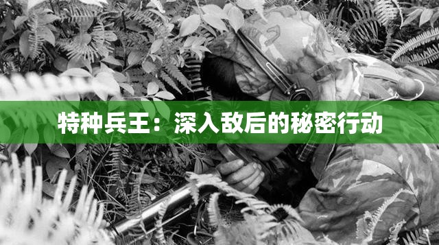 特种兵王：深入敌后的秘密行动