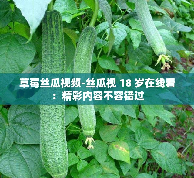 草莓丝瓜视频-丝瓜视 18 岁在线看：精彩内容不容错过