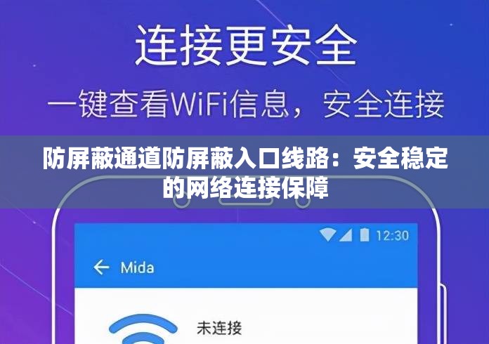 防屏蔽通道防屏蔽入口线路：安全稳定的网络连接保障