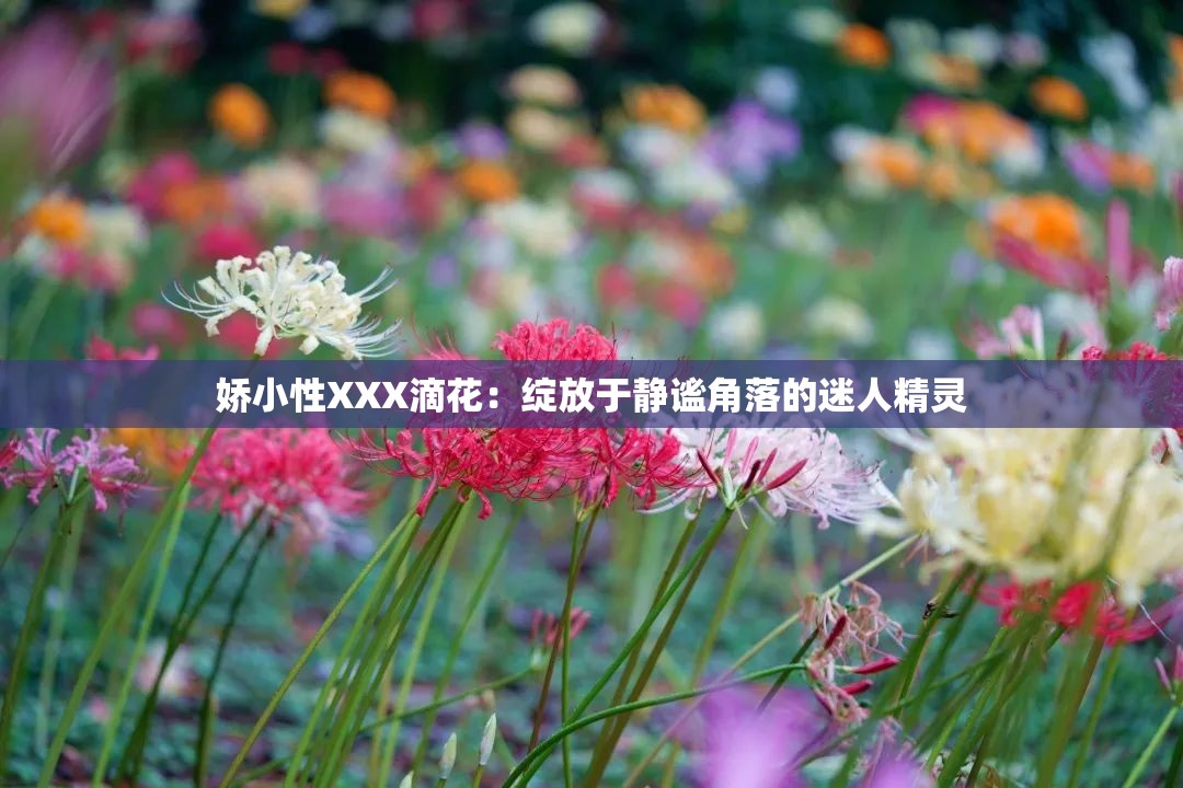 娇小性XXX滴花：绽放于静谧角落的迷人精灵