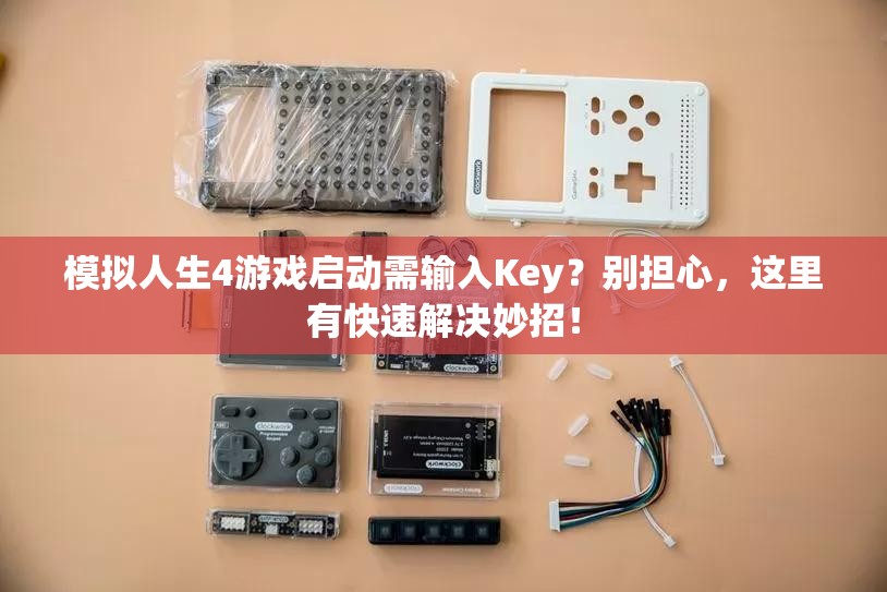 模拟人生4游戏启动需输入Key？别担心，这里有快速解决妙招！