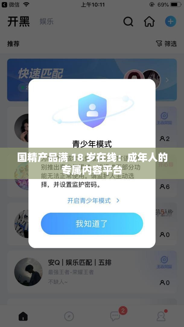 国精产品满 18 岁在线：成年人的专属内容平台