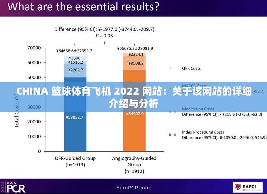 CHINA 篮球体育飞机 2022 网站：关于该网站的详细介绍与分析