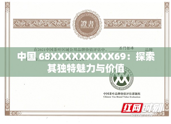 中国 68XXXXXXXXX69：探索其独特魅力与价值