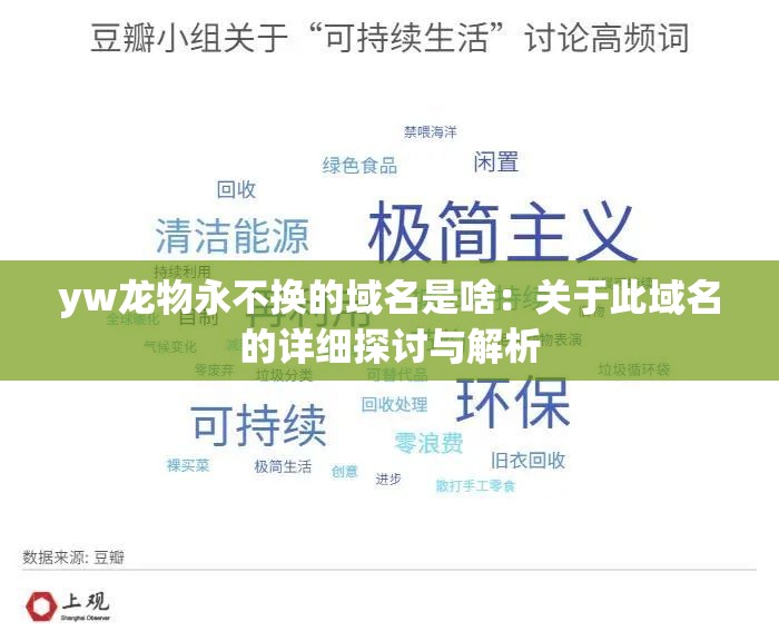 yw龙物永不换的域名是啥：关于此域名的详细探讨与解析