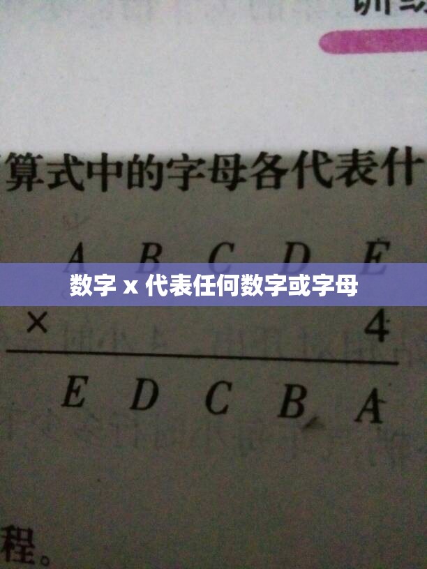 数字 x 代表任何数字或字母