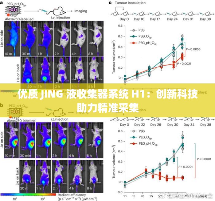 优质 JING 液收集器系统 H1：创新科技助力精准采集