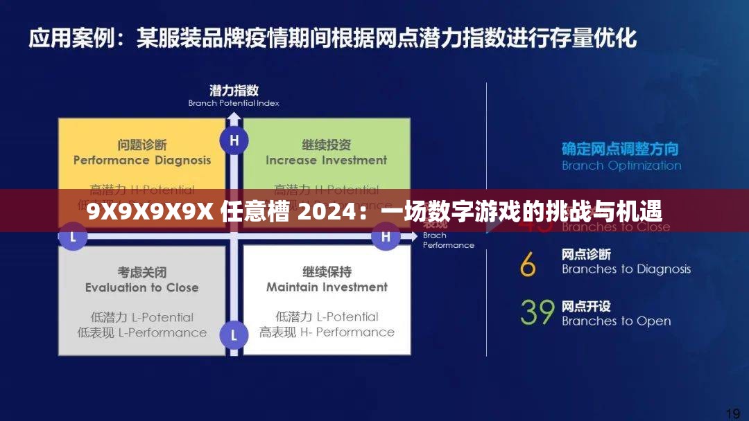 9X9X9X9X 任意槽 2024：一场数字游戏的挑战与机遇