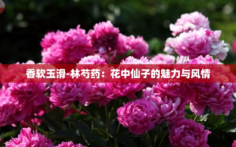 香软玉滑-林芍药：花中仙子的魅力与风情