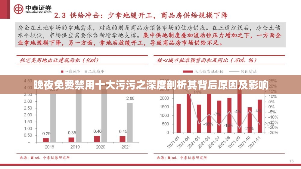 晚夜免费禁用十大污污之深度剖析其背后原因及影响