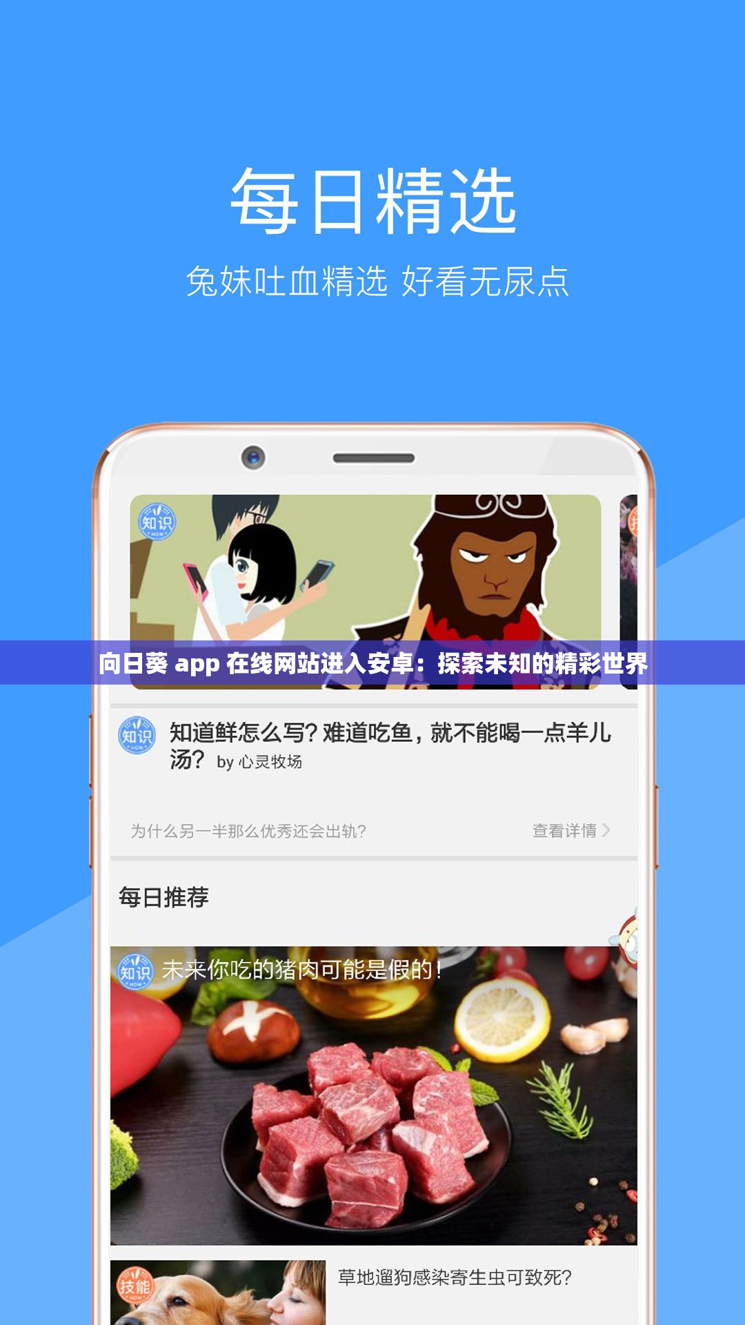 向日葵 app 在线网站进入安卓：探索未知的精彩世界