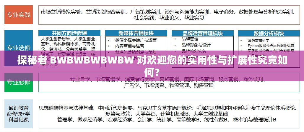 探秘老 BWBWBWBWBW 对欢迎您的实用性与扩展性究竟如何？