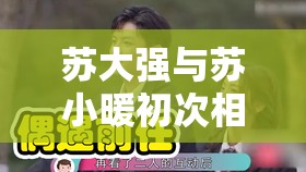 苏大强与苏小暖初次相遇之奇妙邂逅