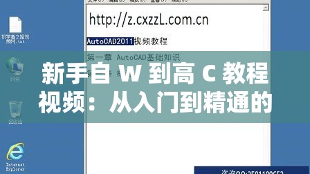 新手自 W 到高 C 教程视频：从入门到精通的私密指南