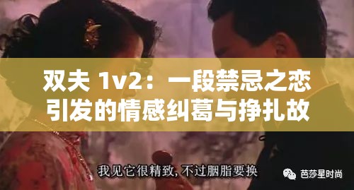 双夫 1v2：一段禁忌之恋引发的情感纠葛与挣扎故事