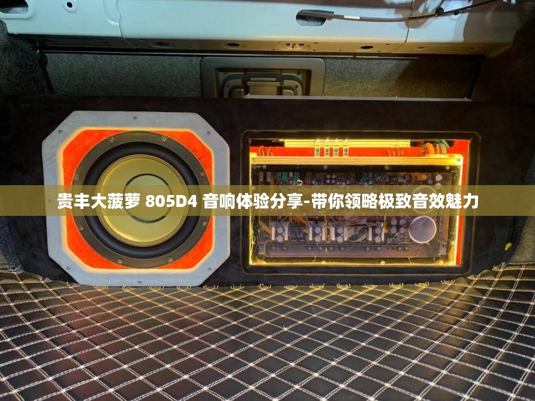 贵丰大菠萝 805D4 音响体验分享-带你领略极致音效魅力