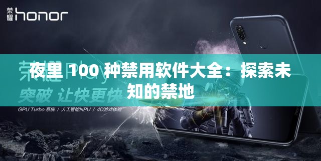 夜里 100 种禁用软件大全：探索未知的禁地