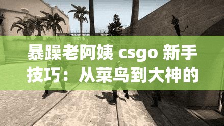 暴躁老阿姨 csgo 新手技巧：从菜鸟到大神的蜕变之路