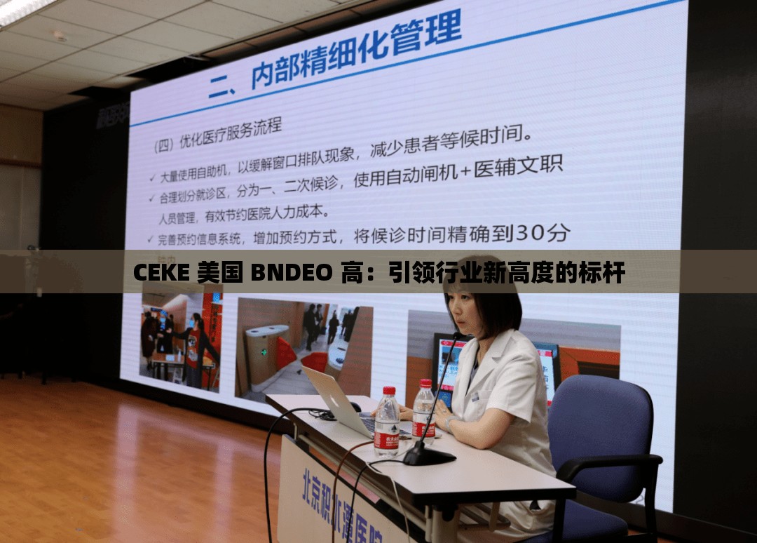 CEKE 美国 BNDEO 高：引领行业新高度的标杆