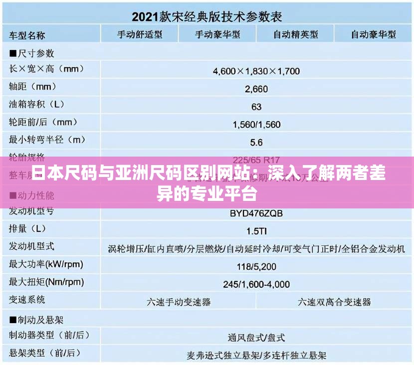 日本尺码与亚洲尺码区别网站：深入了解两者差异的专业平台