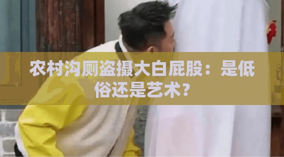 农村沟厕盗摄大白屁股：是低俗还是艺术？