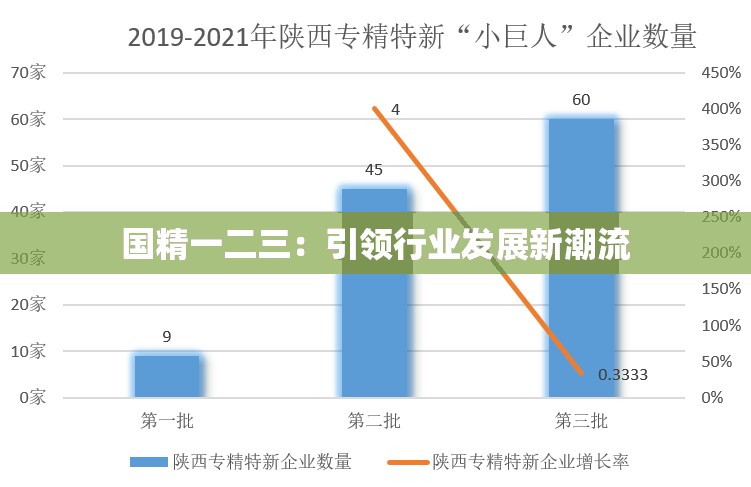 国精一二三：引领行业发展新潮流