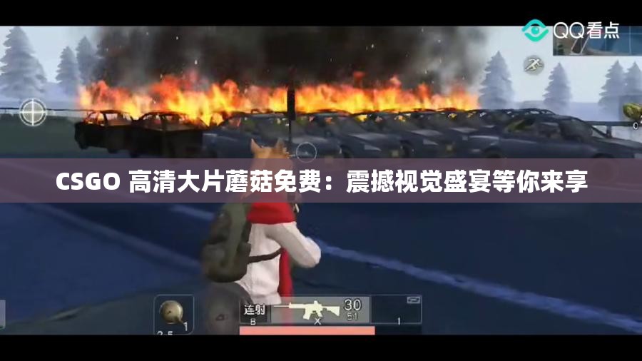 CSGO 高清大片蘑菇免费：震撼视觉盛宴等你来享