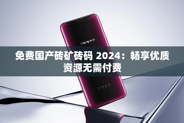 免费国产砖矿砖码 2024：畅享优质资源无需付费