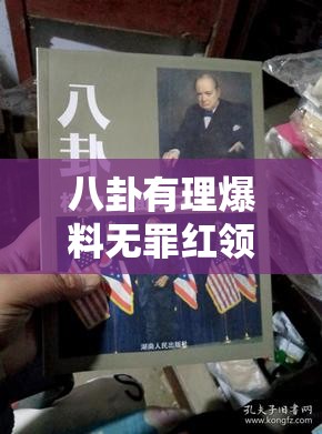 八卦有理爆料无罪红领巾 911：揭开背后的神秘面纱