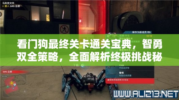 看门狗最终关卡通关宝典，智勇双全策略，全面解析终极挑战秘籍