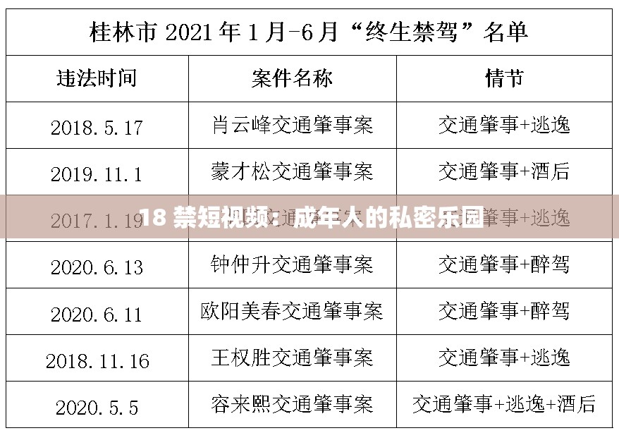 18 禁短视频：成年人的私密乐园