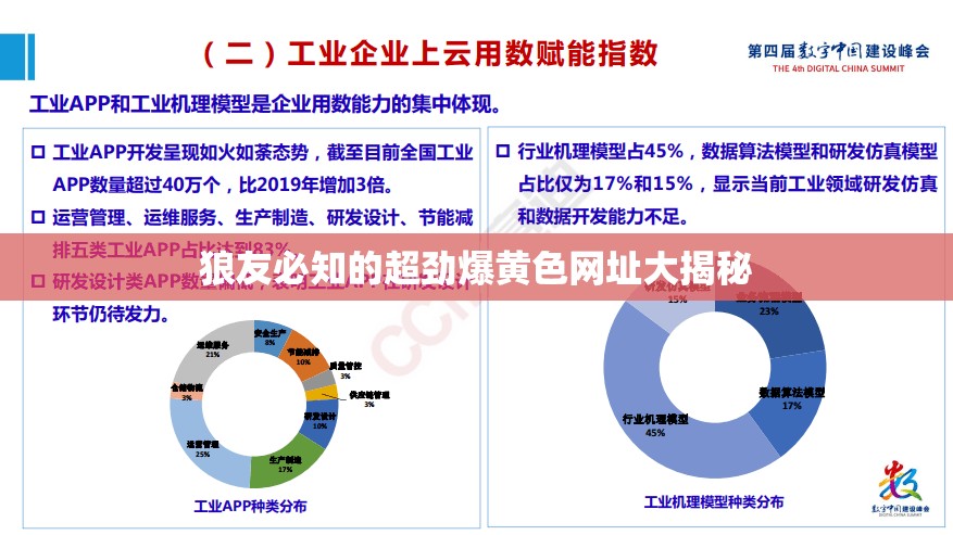 狼友必知的超劲爆黄色网址大揭秘