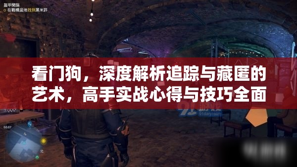 看门狗，深度解析追踪与藏匿的艺术，高手实战心得与技巧全面揭秘