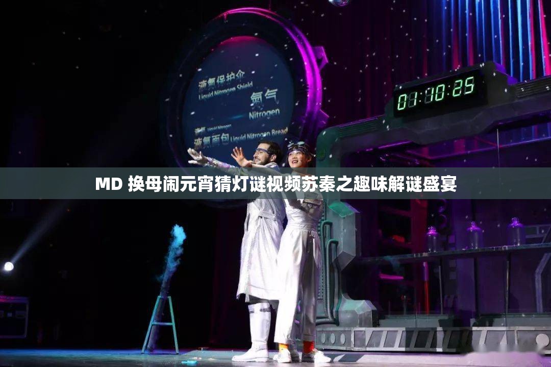 MD 换母闹元宵猜灯谜视频苏秦之趣味解谜盛宴